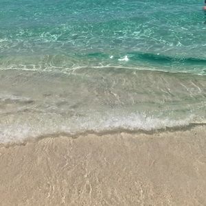 Meet your Posher, Aashley